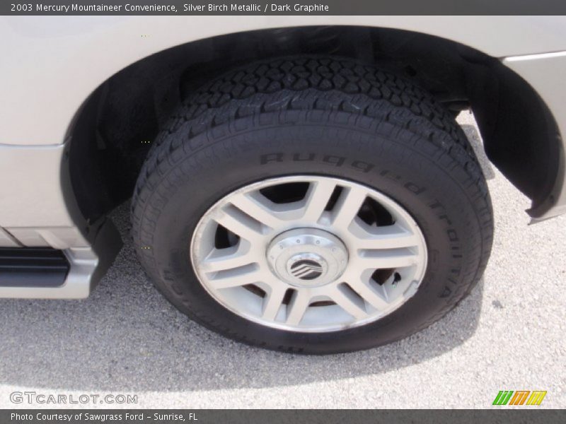 Silver Birch Metallic / Dark Graphite 2003 Mercury Mountaineer Convenience