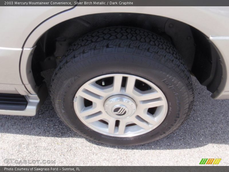 Silver Birch Metallic / Dark Graphite 2003 Mercury Mountaineer Convenience