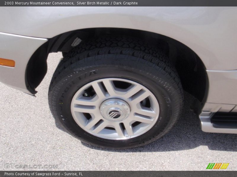 Silver Birch Metallic / Dark Graphite 2003 Mercury Mountaineer Convenience