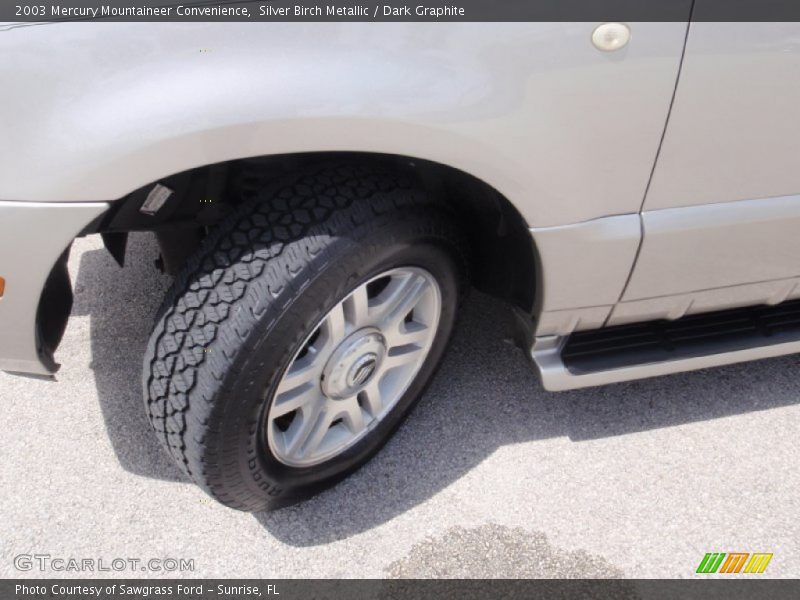 Silver Birch Metallic / Dark Graphite 2003 Mercury Mountaineer Convenience