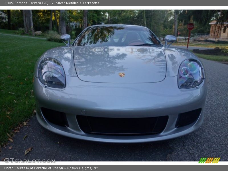 GT Silver Metallic / Terracotta 2005 Porsche Carrera GT