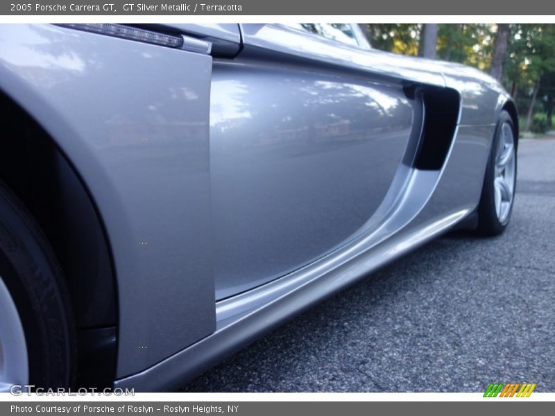 GT Silver Metallic / Terracotta 2005 Porsche Carrera GT