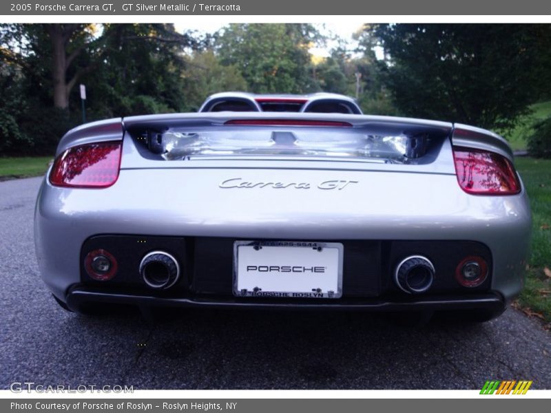 GT Silver Metallic / Terracotta 2005 Porsche Carrera GT