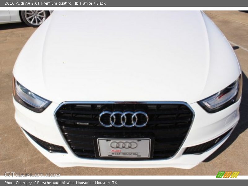 Ibis White / Black 2016 Audi A4 2.0T Premium quattro