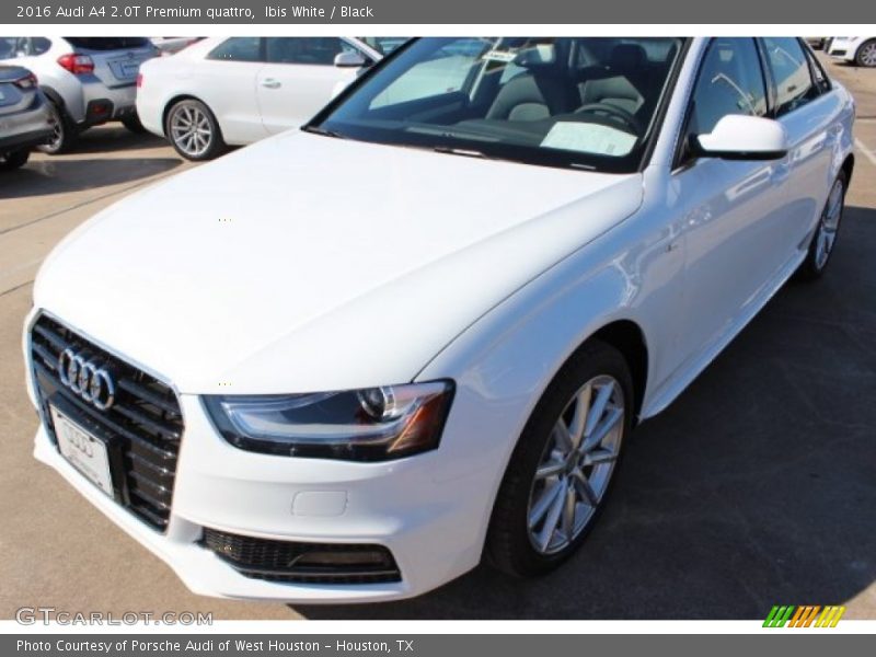 Ibis White / Black 2016 Audi A4 2.0T Premium quattro