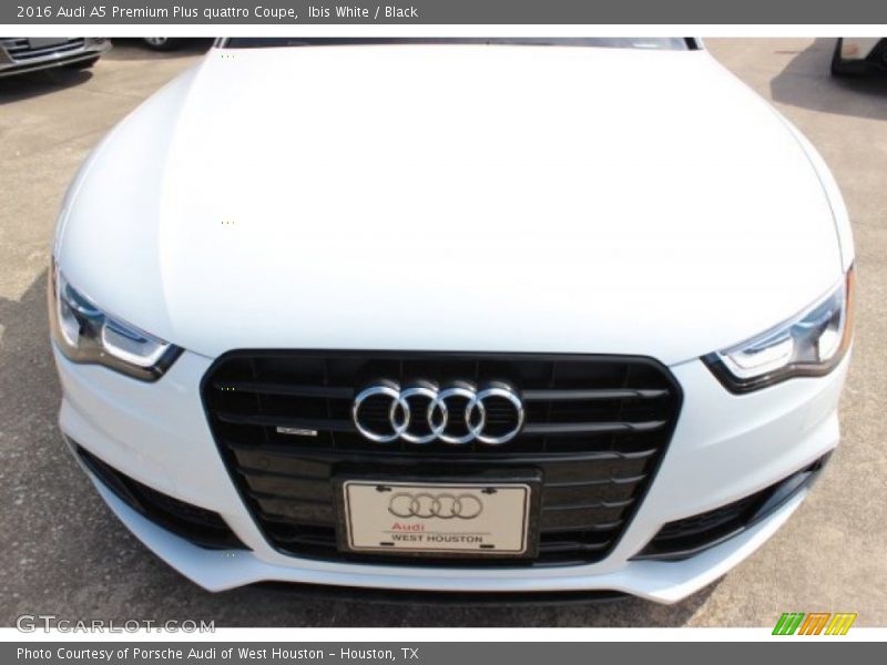 Ibis White / Black 2016 Audi A5 Premium Plus quattro Coupe