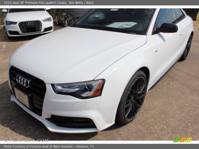 Ibis White / Black 2016 Audi A5 Premium Plus quattro Coupe