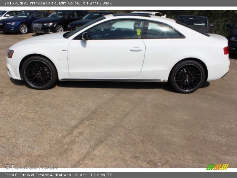 Ibis White / Black 2016 Audi A5 Premium Plus quattro Coupe