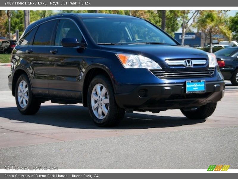 Royal Blue Pearl / Black 2007 Honda CR-V EX-L