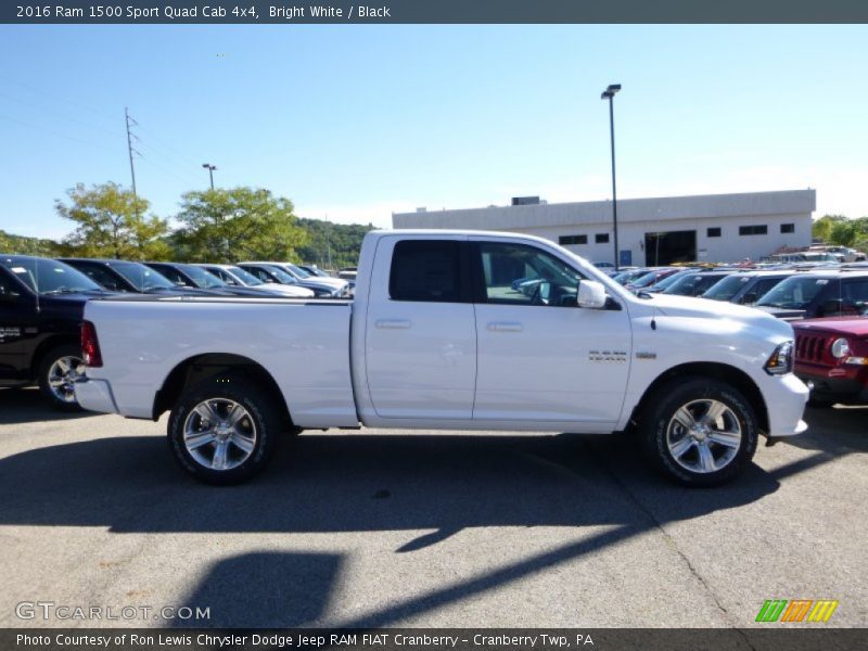 Bright White / Black 2016 Ram 1500 Sport Quad Cab 4x4