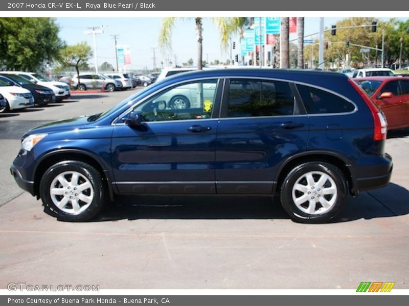 Royal Blue Pearl / Black 2007 Honda CR-V EX-L