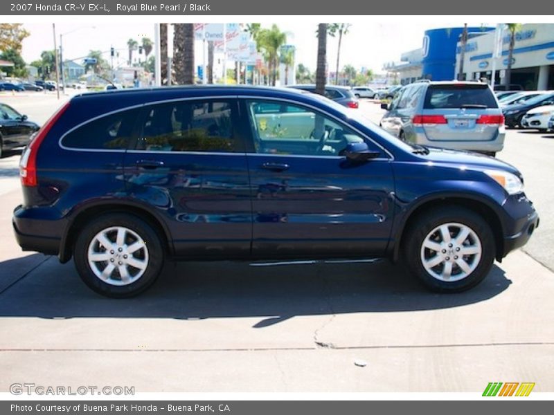 Royal Blue Pearl / Black 2007 Honda CR-V EX-L