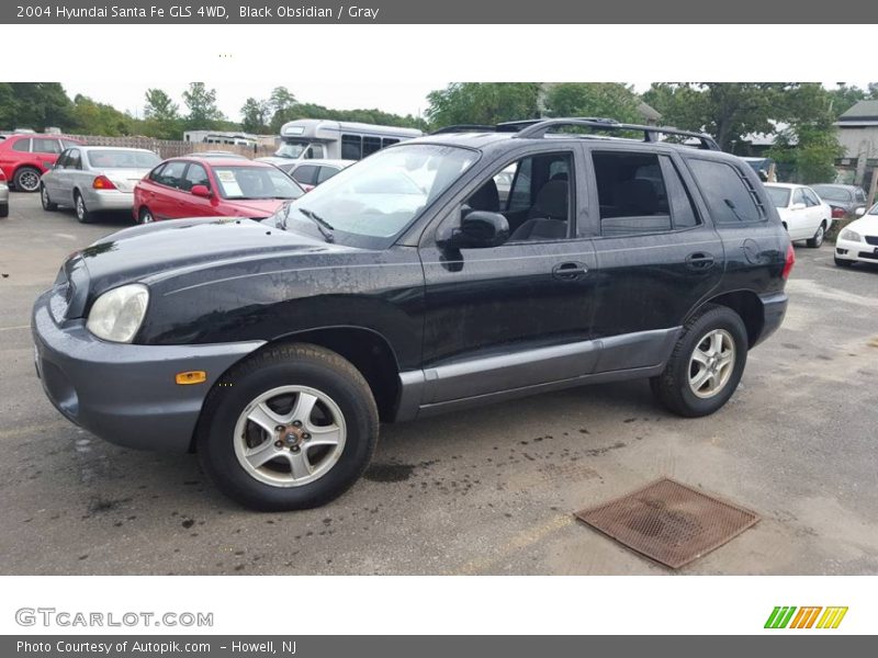 Black Obsidian / Gray 2004 Hyundai Santa Fe GLS 4WD