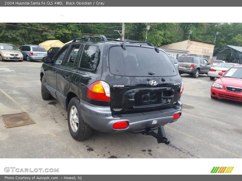 Black Obsidian / Gray 2004 Hyundai Santa Fe GLS 4WD