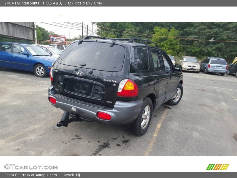 Black Obsidian / Gray 2004 Hyundai Santa Fe GLS 4WD