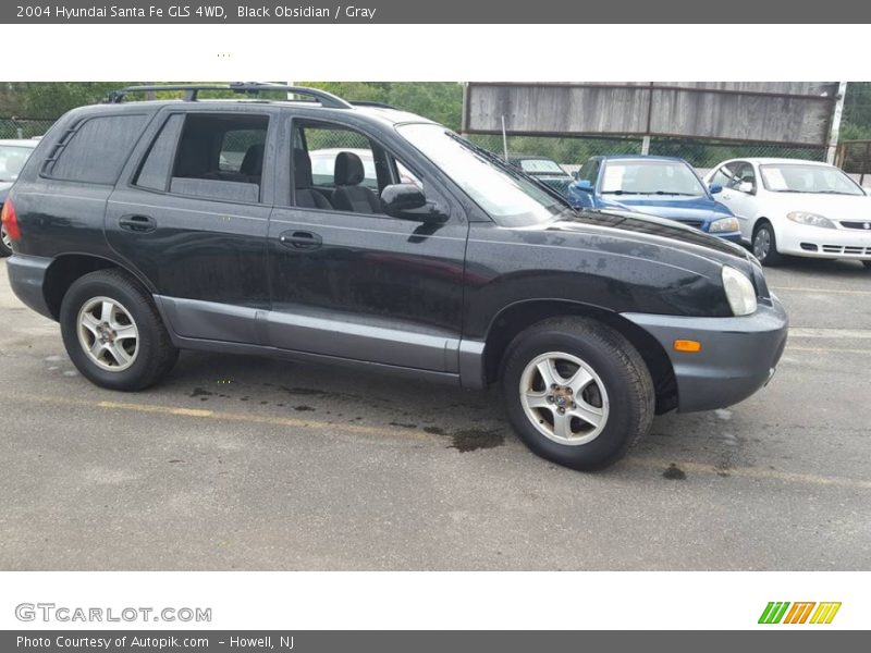 Black Obsidian / Gray 2004 Hyundai Santa Fe GLS 4WD