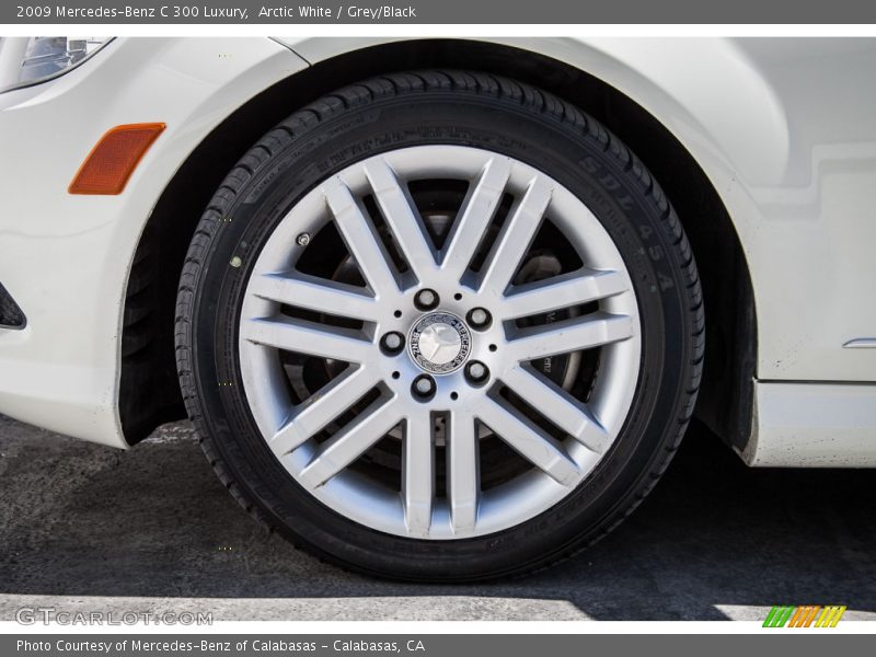 Arctic White / Grey/Black 2009 Mercedes-Benz C 300 Luxury