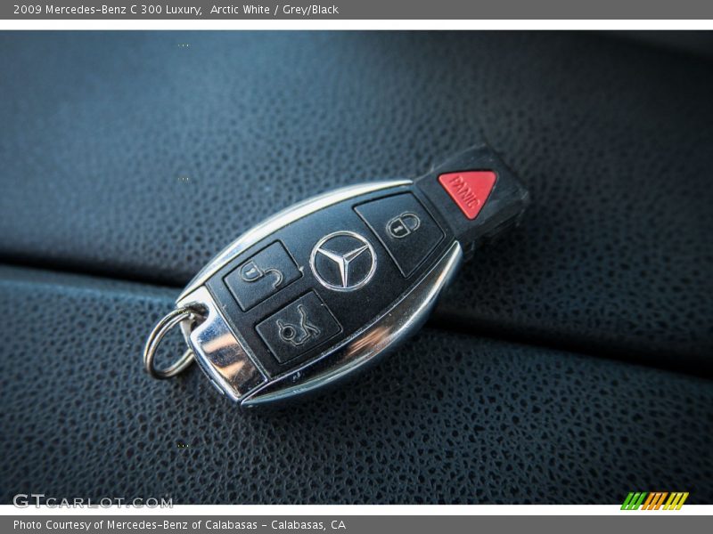 Arctic White / Grey/Black 2009 Mercedes-Benz C 300 Luxury