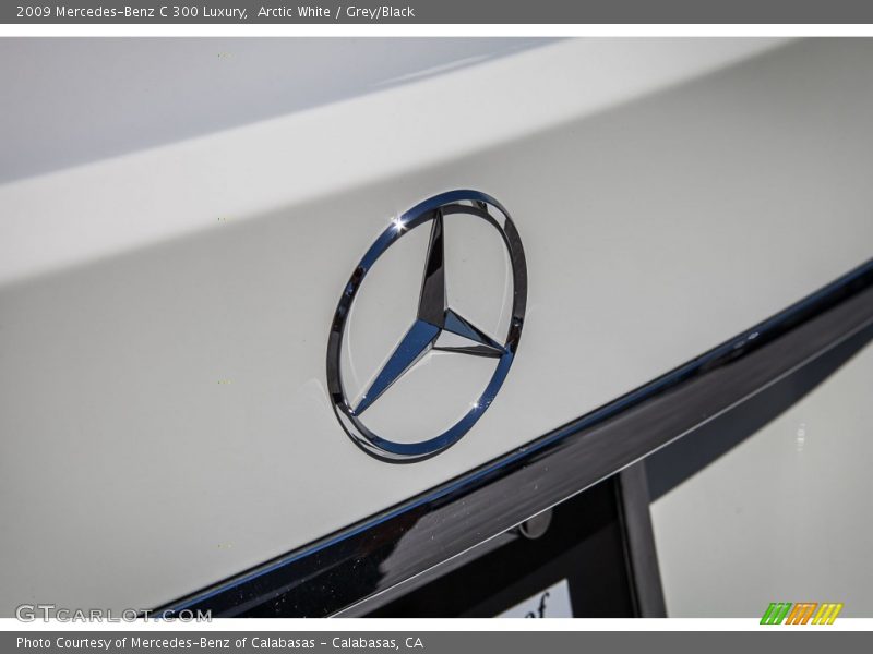 Arctic White / Grey/Black 2009 Mercedes-Benz C 300 Luxury