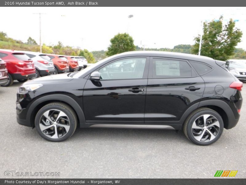 Ash Black / Black 2016 Hyundai Tucson Sport AWD