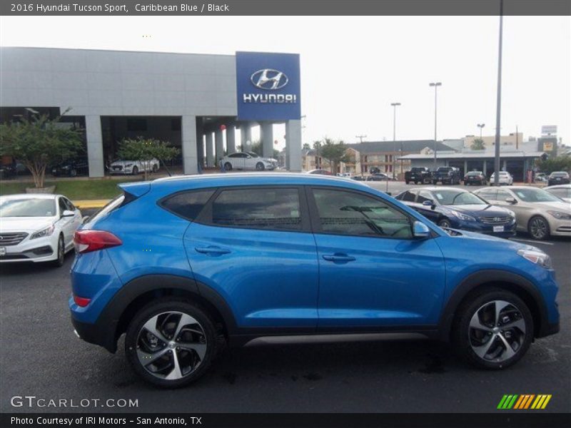 Caribbean Blue / Black 2016 Hyundai Tucson Sport