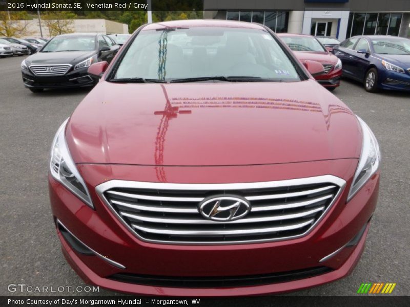 Venetian Red / Gray 2016 Hyundai Sonata SE