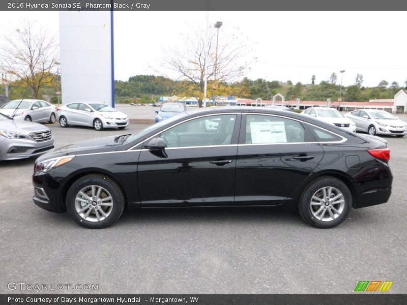 Phantom Black / Gray 2016 Hyundai Sonata SE