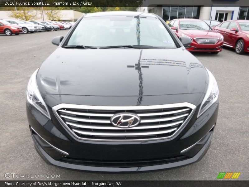 Phantom Black / Gray 2016 Hyundai Sonata SE