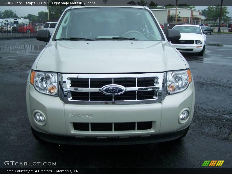 Light Sage Metallic / Stone 2009 Ford Escape XLT V6