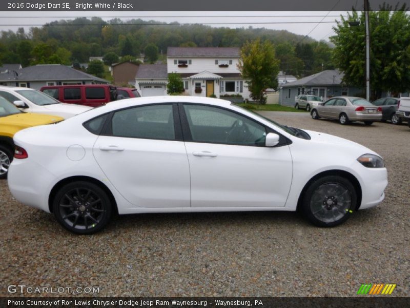 Bright White / Black 2016 Dodge Dart SE