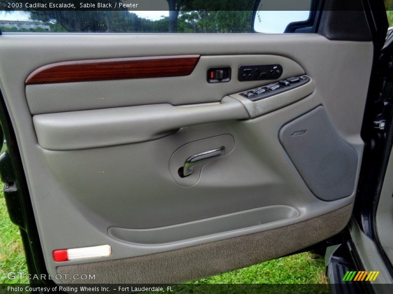 Door Panel of 2003 Escalade 