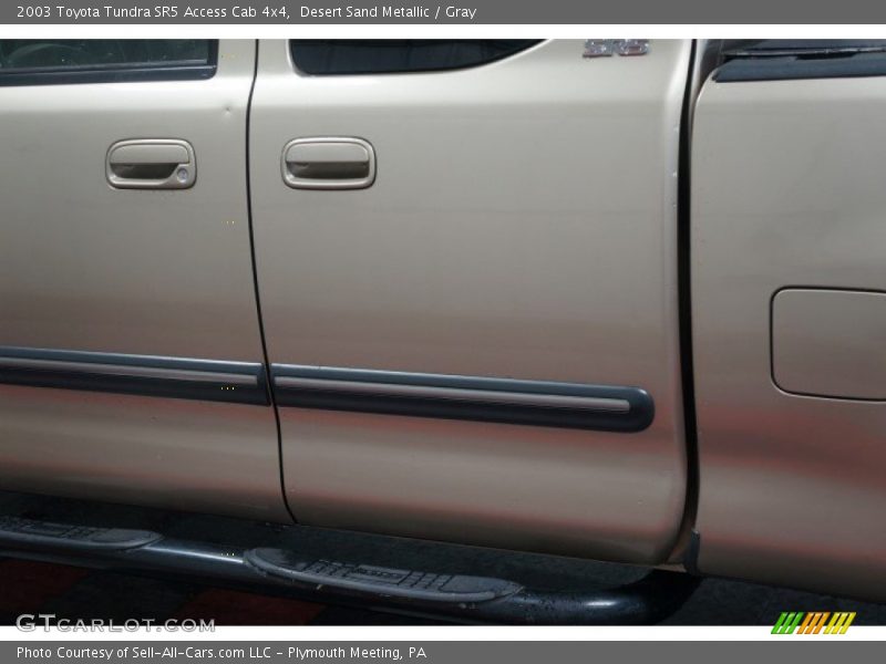 Desert Sand Metallic / Gray 2003 Toyota Tundra SR5 Access Cab 4x4