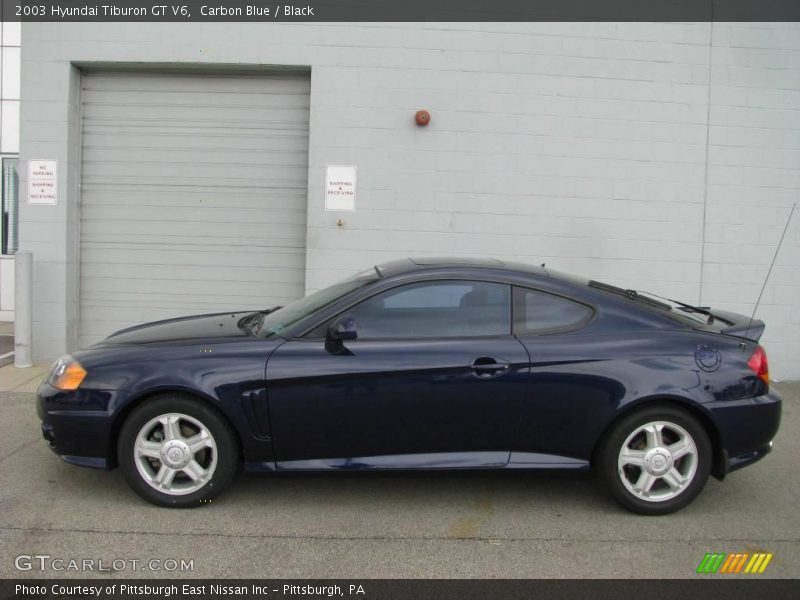 Carbon Blue / Black 2003 Hyundai Tiburon GT V6