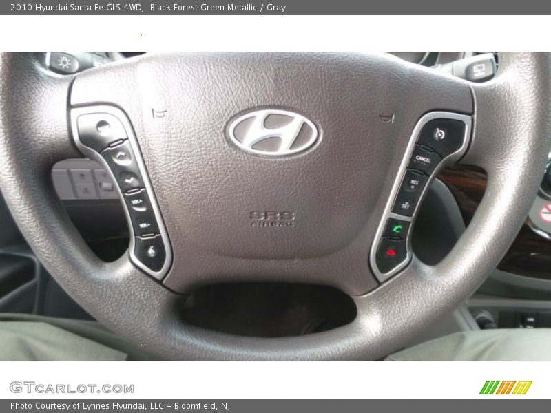 Black Forest Green Metallic / Gray 2010 Hyundai Santa Fe GLS 4WD