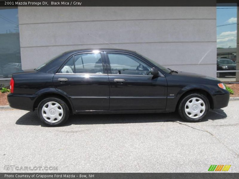 Black Mica / Gray 2001 Mazda Protege DX