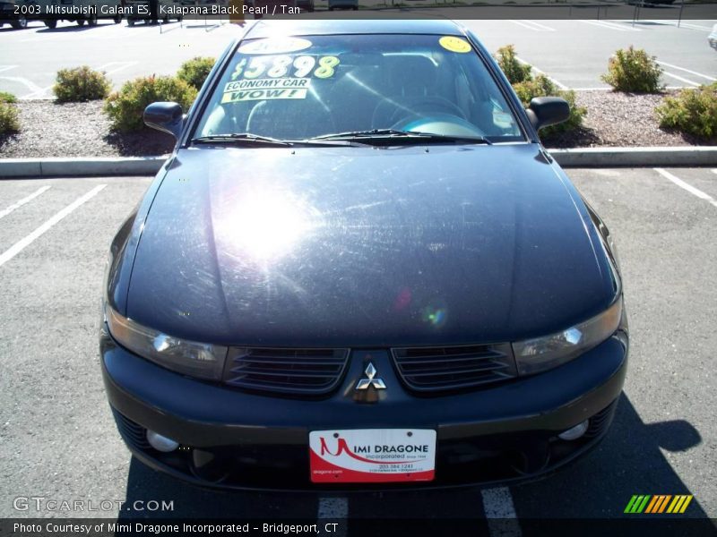 Kalapana Black Pearl / Tan 2003 Mitsubishi Galant ES