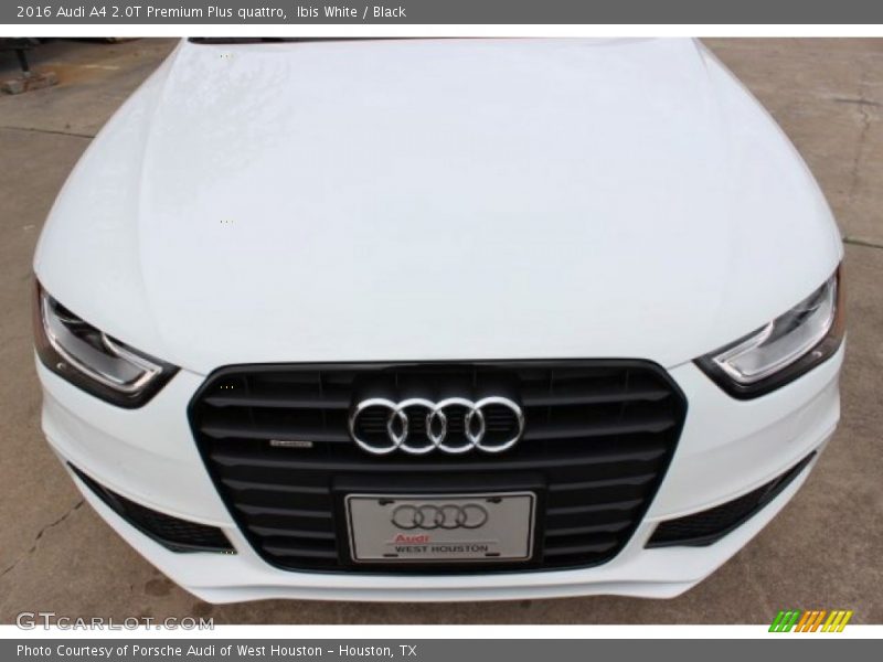 Ibis White / Black 2016 Audi A4 2.0T Premium Plus quattro