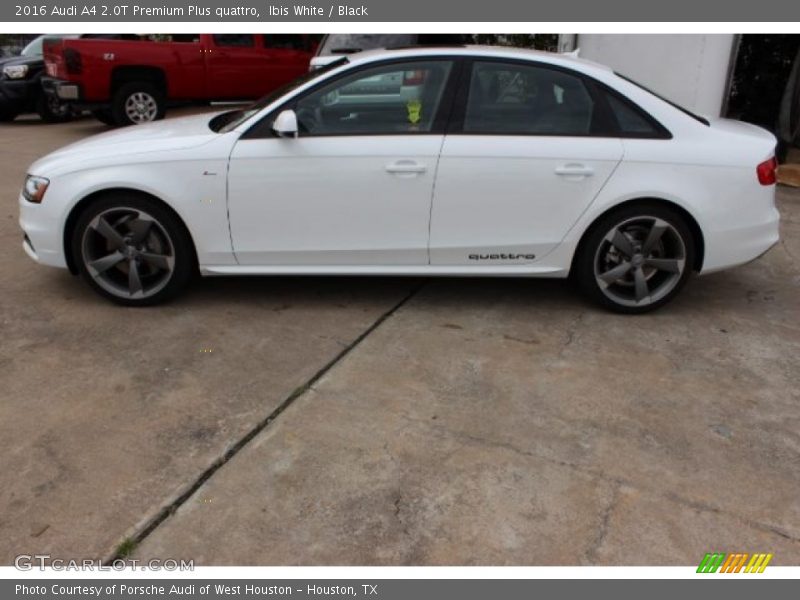 Ibis White / Black 2016 Audi A4 2.0T Premium Plus quattro
