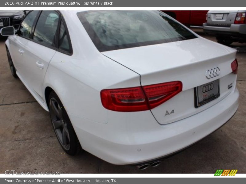 Ibis White / Black 2016 Audi A4 2.0T Premium Plus quattro