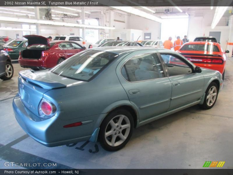 Tungsten Blue Metallic / Frost 2002 Nissan Maxima SE