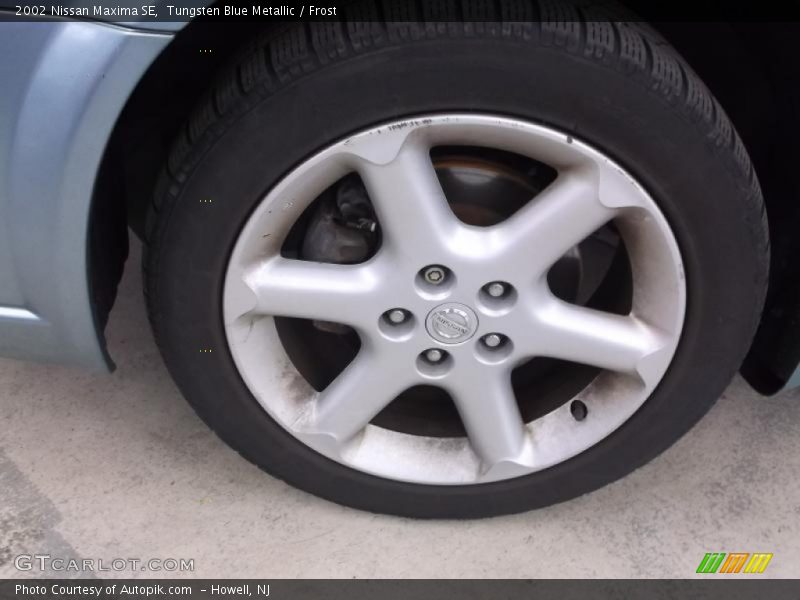 Tungsten Blue Metallic / Frost 2002 Nissan Maxima SE