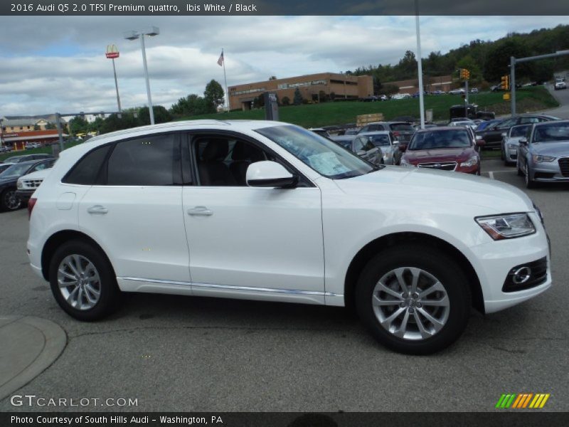 Ibis White / Black 2016 Audi Q5 2.0 TFSI Premium quattro