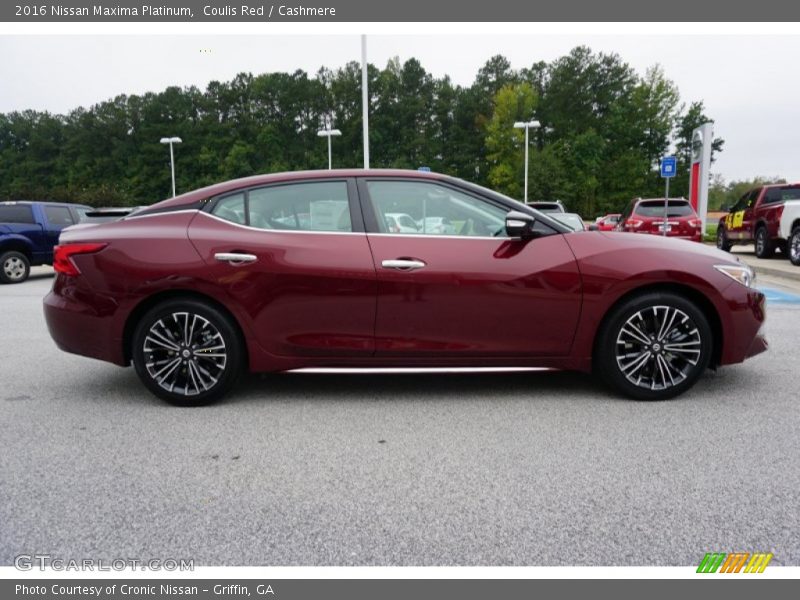 2016 Maxima Platinum Coulis Red