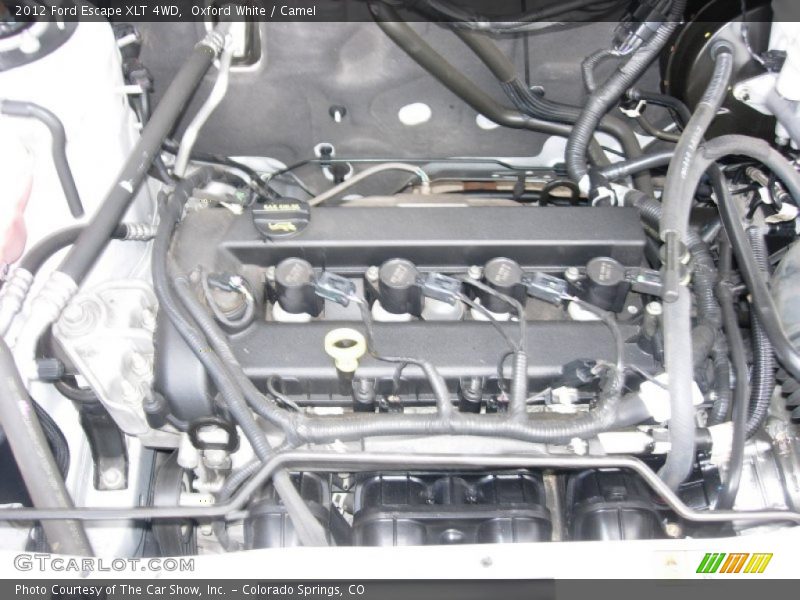 Oxford White / Camel 2012 Ford Escape XLT 4WD