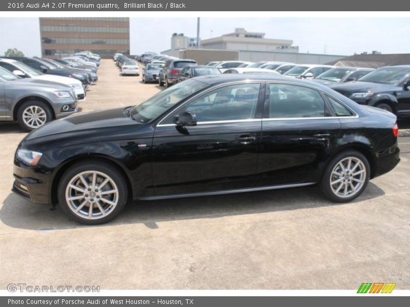 Brilliant Black / Black 2016 Audi A4 2.0T Premium quattro