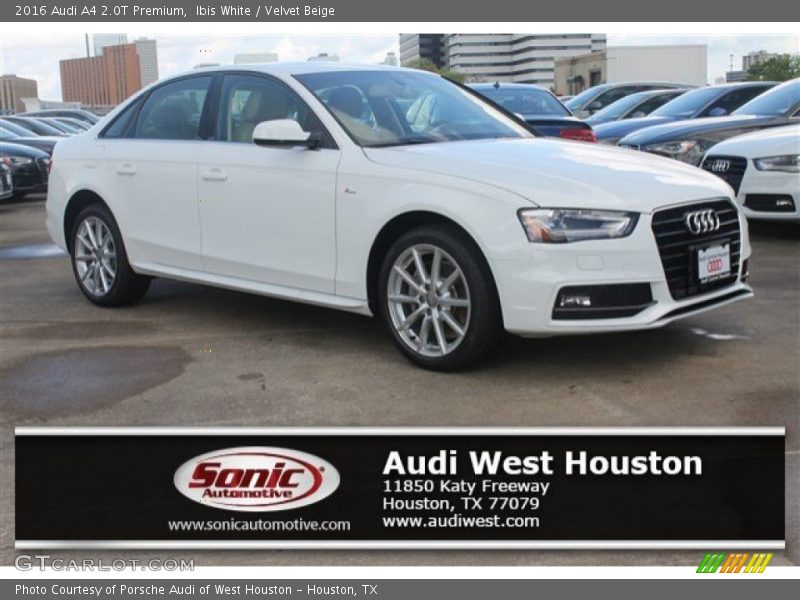 Ibis White / Velvet Beige 2016 Audi A4 2.0T Premium