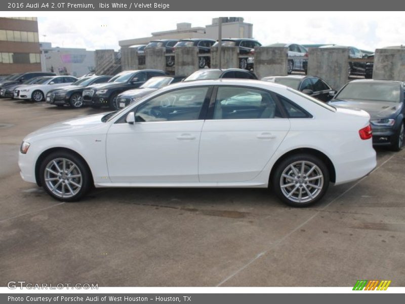  2016 A4 2.0T Premium Ibis White