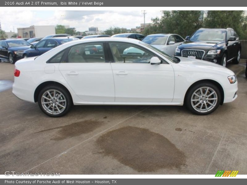 Ibis White / Velvet Beige 2016 Audi A4 2.0T Premium