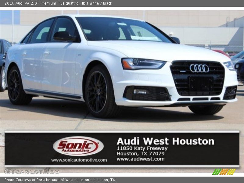 Ibis White / Black 2016 Audi A4 2.0T Premium Plus quattro