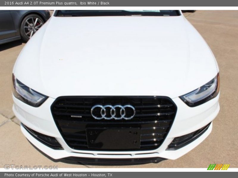 Ibis White / Black 2016 Audi A4 2.0T Premium Plus quattro